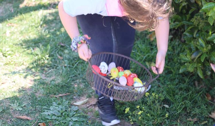 «Αναζήτηση των Πασχαλινών Αυγών» (Eiersuche)