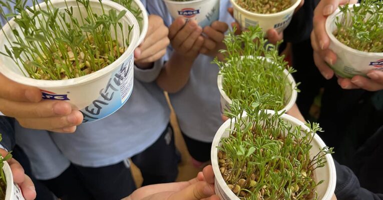 Οι μαθητές της Β΄ Δημοτικού μαθαίνουν «Τα Φυτά»