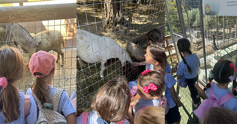 Οι μαθητές της Α΄ Δημοτικού στο Paradise Park