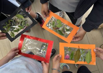 From Petals to Phrases: Language Blossoms in Nature