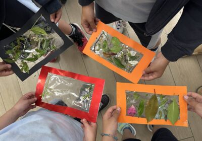 From Petals to Phrases: Language Blossoms in Nature
