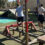 Εκπαιδευτική Επίσκεψη στο Paradise Park