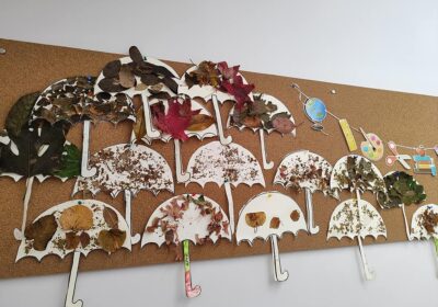 Δημιουργική προσέγγιση του φθινοπώρου στη Β΄ Δημοτικού