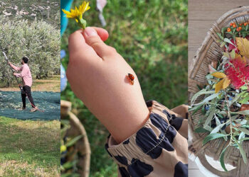 Μια Χαρούμενη Εξερεύνηση στη Φύση!