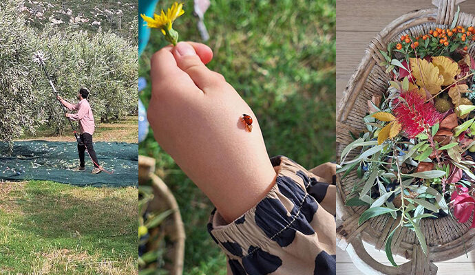 Μια Χαρούμενη Εξερεύνηση στη Φύση!