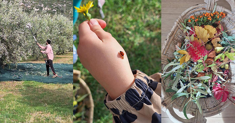 Μια Χαρούμενη Εξερεύνηση στη Φύση!