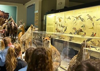 Εκπαιδευτική Επίσκεψη της Γ΄ Δημοτικού στο Μουσείο Γουλανδρή