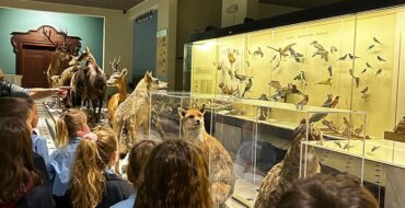 Εκπαιδευτική Επίσκεψη της Γ΄ Δημοτικού στο Μουσείο Γουλανδρή