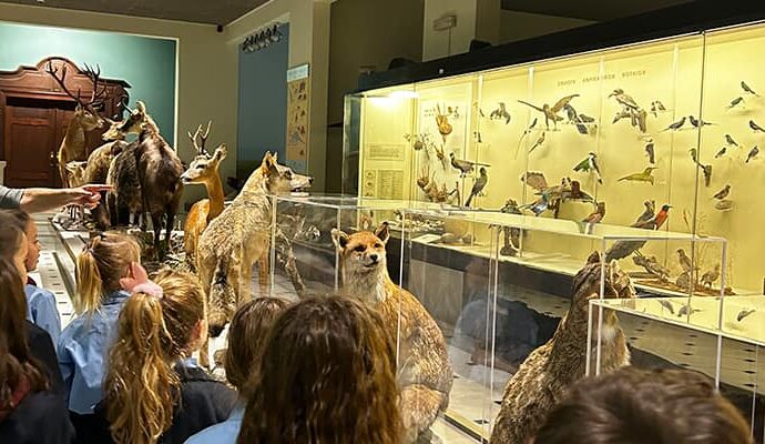 Εκπαιδευτική Επίσκεψη της Γ΄ Δημοτικού στο Μουσείο Γουλανδρή