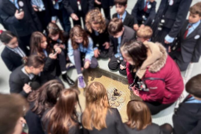 Στα Βήματα της Ιστορίας – Η Δ΄ Δημοτικού στο Μουσείο Ακρόπολης