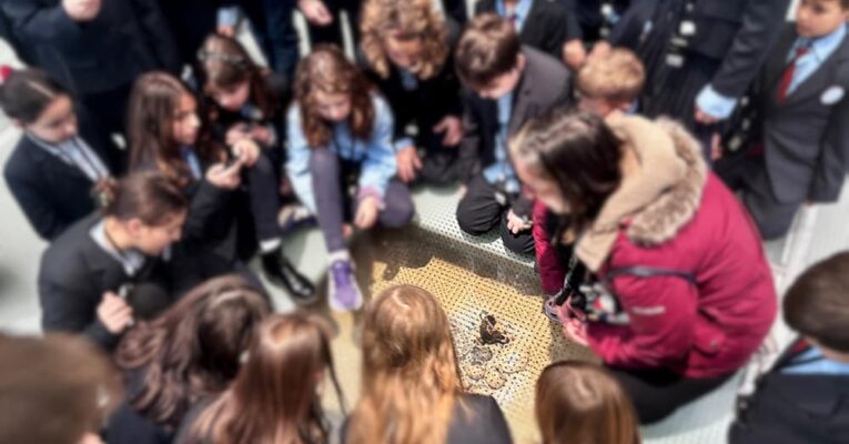 Στα Βήματα της Ιστορίας – Η Δ΄ Δημοτικού στο Μουσείο Ακρόπολης