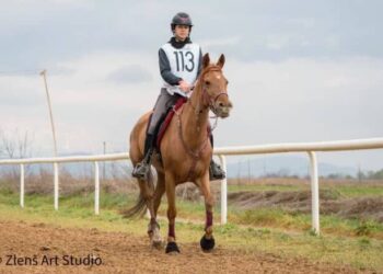 1η θέση για τη μαθήτρια της Γ΄ Λυκείου Γεωργία Μαμάη στον Διεθνή Αγώνα «ORCOMENOS ELIA STUD FARM»