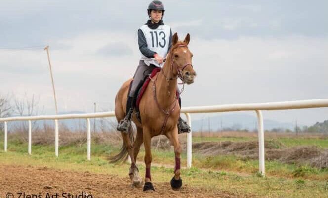 1η θέση για τη μαθήτρια της Γ΄ Λυκείου Γεωργία Μαμάη στον Διεθνή Αγώνα «ORCOMENOS ELIA STUD FARM»