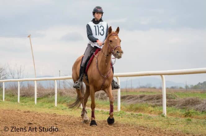 1η θέση για τη μαθήτρια της Γ΄ Λυκείου Γεωργία Μαμάη στον Διεθνή Αγώνα «ORCOMENOS ELIA STUD FARM»