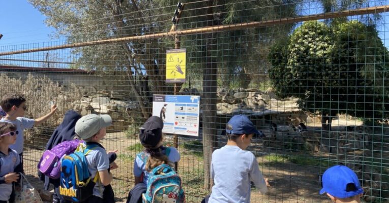 «Μια βόλτα στον κόσμο των ζώων!»