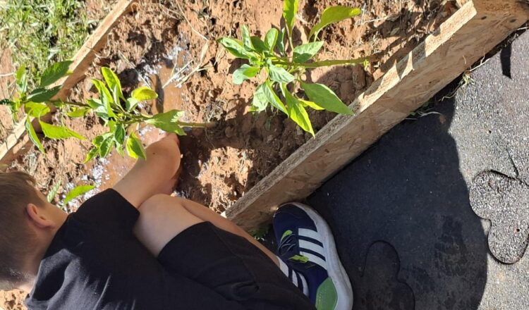 Μικροί κηπουροί στο Νηπιαγωγείο μας!